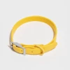 Wild One Walk Modern Dog Collar Butter