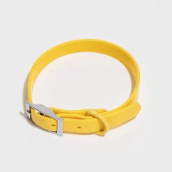 Wild One Walk Modern Dog Collar Butter