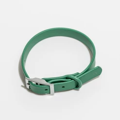 Wild One Modern Dog Collar Spruce Walk