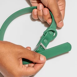 Wild One Modern Dog Collar Spruce Walk