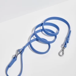 Wild One Durable Dog Leash Moonstone Walk