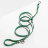Wild One Walk Durable Dog Leash Spruce