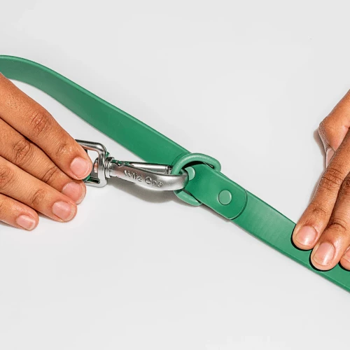 Discount π€© Wild One Walk Durable πΆ Dog Leash Spruce π€© 4 Wild One Walk Durable Dog Leash Spruce