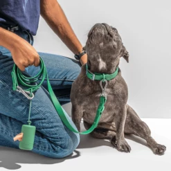 Discount π€© Wild One Walk Durable πΆ Dog Leash Spruce π€© 8 Wild One Walk Durable Dog Leash Spruce