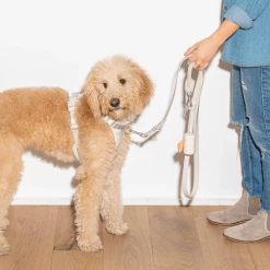 Wild One Walk Durable Dog Leash Grey