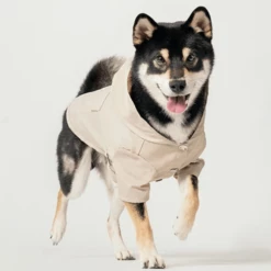 Pehom NYC Outerwear Hooded Raincoat Beige