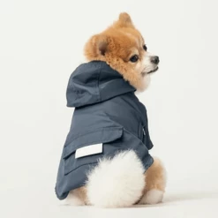 Pehom NYC Hooded Raincoat Blue Outerwear