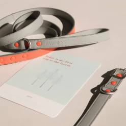 Wholesale ✔️ Pawness Puppy Milestone Cards ⌛ 13 Pawness Puppy Milestone Cards