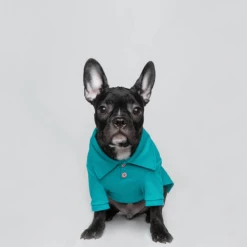 Trois Point Mode Pique Polo Teal Wear