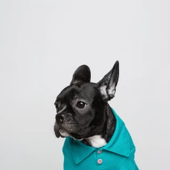 Trois Point Mode Pique Polo Teal Wear