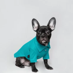 Trois Point Mode Pique Polo Teal Wear