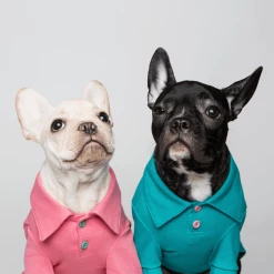 Trois Point Mode Pique Polo Teal Wear