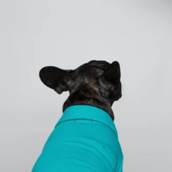 Trois Point Mode Pique Polo Teal Wear