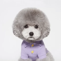 Trois Point Wear Mode Pique Polo Purple