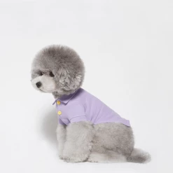 Trois Point Wear Mode Pique Polo Purple