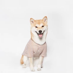 Trois Point Witty Check Shirt Rust Wear