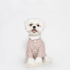 Trois Point Witty Check Shirt Rust Wear