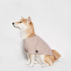 Trois Point Witty Check Shirt Rust Wear