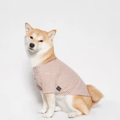 Trois Point Witty Check Shirt Rust Wear