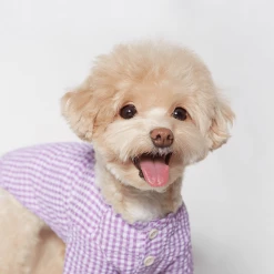 Trois Point Witty Check Shirt Purple Wear