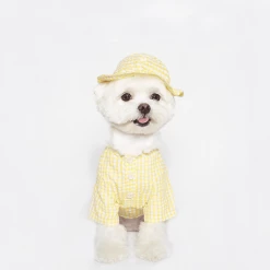 Trois Point Witty Check Shirt Yellow Wear