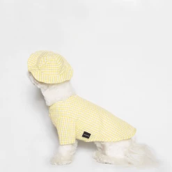 Trois Point Witty Check Shirt Yellow Wear