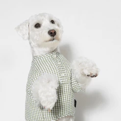 Trois Point Witty Check Shirt Green