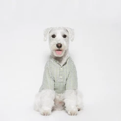 Trois Point Witty Check Shirt Green