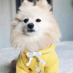 Trill Paws Bubble Tea Collar Charm