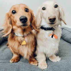 Trill Paws Sushi Collar Charm