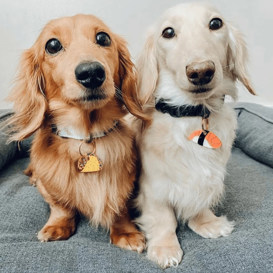 Budget ๐ Trill Paws Sushi Collar Charm ๐ 4 Trill Paws Sushi Collar Charm