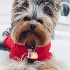 Trill Paws Style Flame Collar Charm