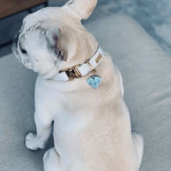 Trill Paws Diamond Collar Charm