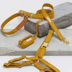 See Scout Sleep The Scot Leash Mustard