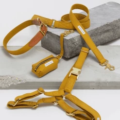 See Scout Sleep Walk The Scot Collar Mustard