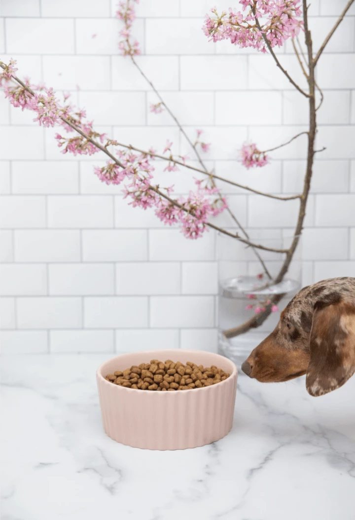 Flash Sale π Waggo Live Ripple Pet Bowl Cloud π 4 Waggo Live Ripple Pet Bowl Cloud