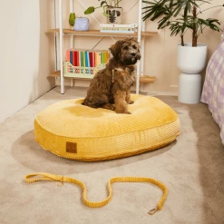 Nice Digs Walk Jumbo Cord Leash Butter