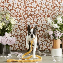 Nice Digs Walk Jumbo Cord Leash Butter