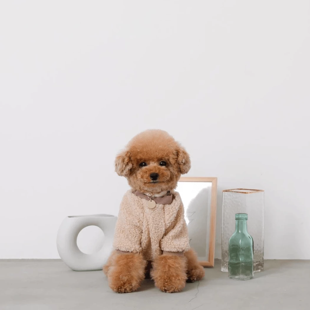 Wholesale π Mon Cheri Wear Color Scheme Fleece Pullover Ivory π 5 Mon Cheri Wear Color Scheme Fleece Pullover Ivory