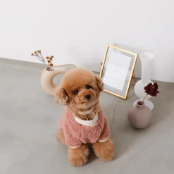 Mon Cheri Wear Color Scheme Fleece Pullover Pink