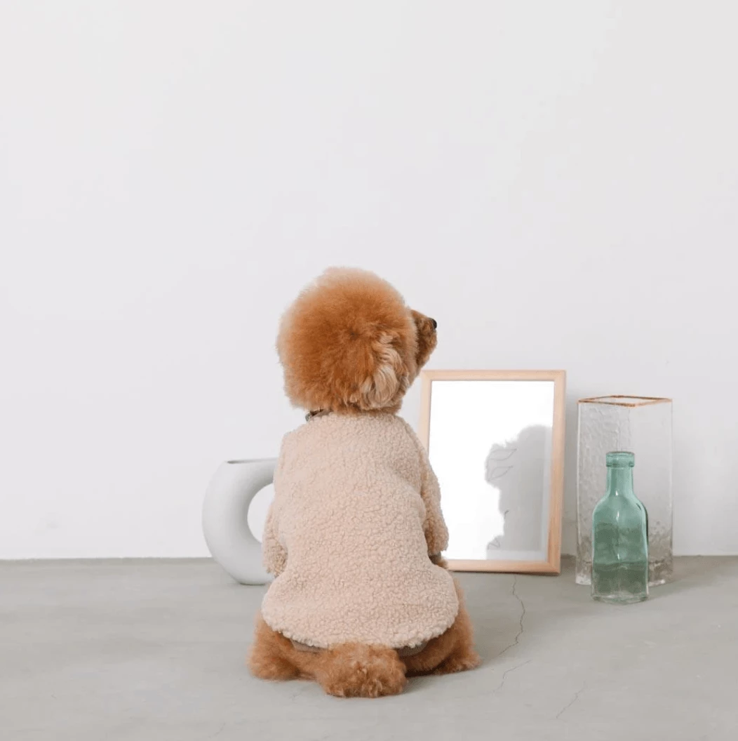 Wholesale π Mon Cheri Wear Color Scheme Fleece Pullover Ivory π 6 Mon Cheri Wear Color Scheme Fleece Pullover Ivory