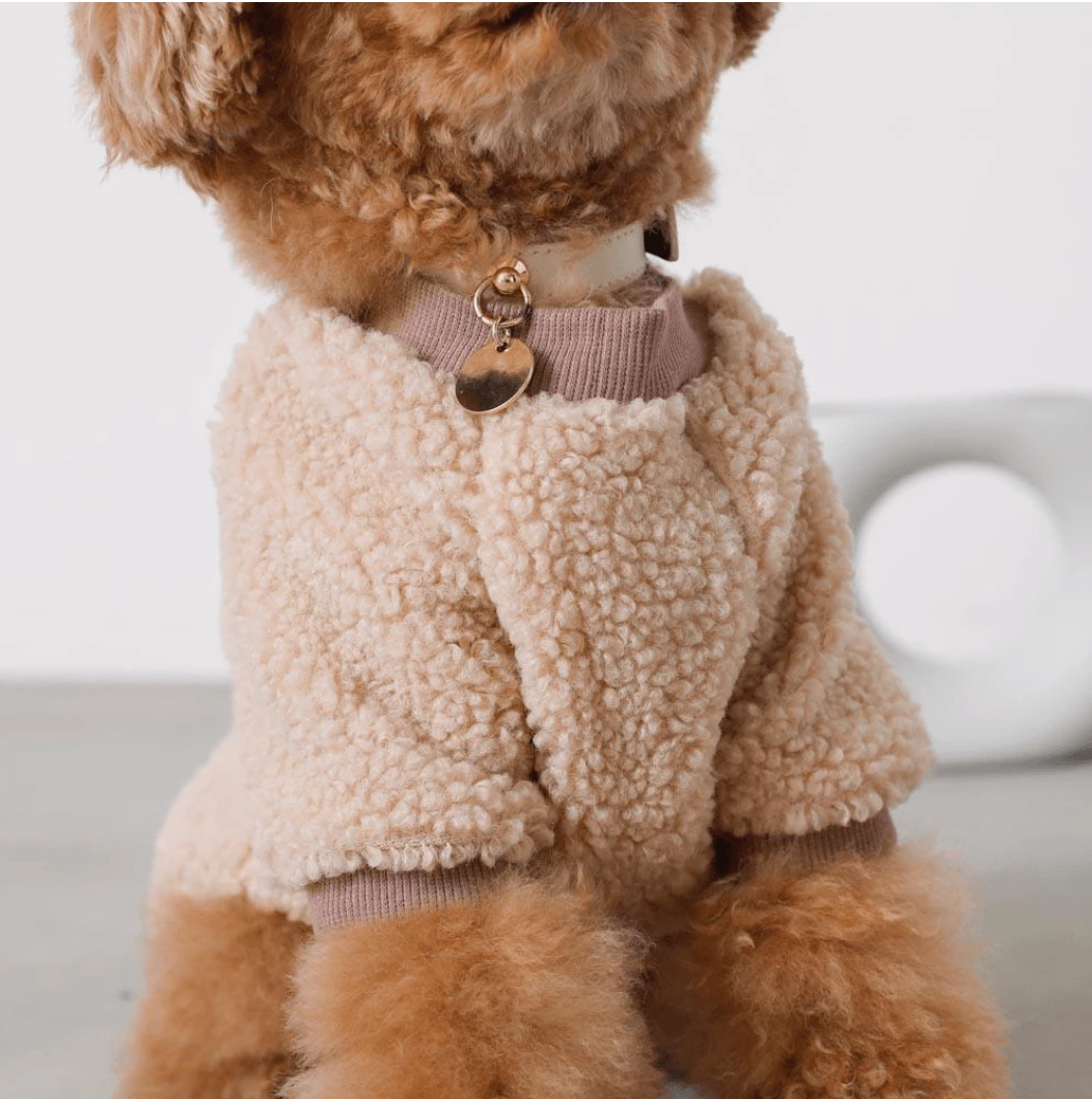 Wholesale π Mon Cheri Wear Color Scheme Fleece Pullover Ivory π 9 Mon Cheri Wear Color Scheme Fleece Pullover Ivory