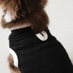 Mon Cheri Outerwear Color Scheme Quilted Vest Black