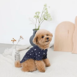 Best reviews of π Mon Cheri Wear Space Print Top Navy β¨ 16 Mon Cheri Wear Space Print Top Navy