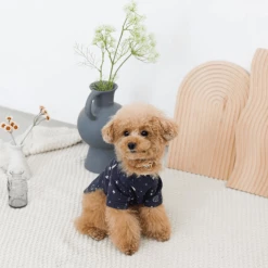 Best reviews of π Mon Cheri Wear Space Print Top Navy β¨ 18 Mon Cheri Wear Space Print Top Navy