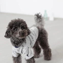 Mon Cheri Wear Space Print Top Grey