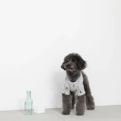 Best deal π Mon Cheri Wear Space Print Top Grey β€οΈ 10 Mon Cheri Wear Space Print Top Grey