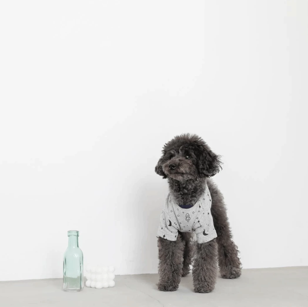 Best deal π Mon Cheri Wear Space Print Top Grey β€οΈ 5 Mon Cheri Wear Space Print Top Grey