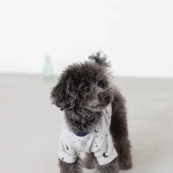 Best deal π Mon Cheri Wear Space Print Top Grey β€οΈ 12 Mon Cheri Wear Space Print Top Grey