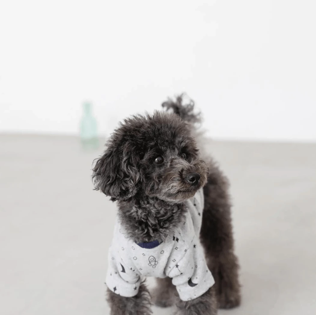 Best deal π Mon Cheri Wear Space Print Top Grey β€οΈ 7 Mon Cheri Wear Space Print Top Grey